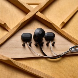 L.R.Baggs HiFi Duet